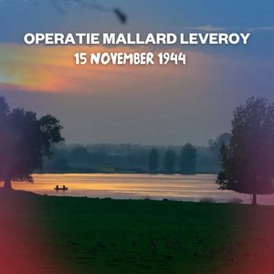 Operatie Mallard Leveroy

Sinds eind september 1944 lag Leveroy (Limburg) binnen het bereik van het geallieerde geschut. Het kanaal Wessem-Nederweert was ook de frontlijn en die bleef bijna twee maanden ongewijzigd. De Duitsers maakten het dorp onveilig. Zo pakten ze tijdens een kerkrazzia van zondag 8 oktober 18 mannen en jongens op die naar Duitsland werden gedeporteerd.

Op 14 november openden de Britten de langverwachte aanval met zware artilleriebeschietingen vanaf het kanaal: gedurende anderhalf uur werden zo’n 1.500 granaten per minuut afgevuurd. De oversteek van het kanaal was een onderdeel van de operatie Mallard, die de Duitsers uit de westelijke Maasoever in Noord- en Midden-Limburg moest verdrijven.

#MaakHetVerschil #VuurVerbindt